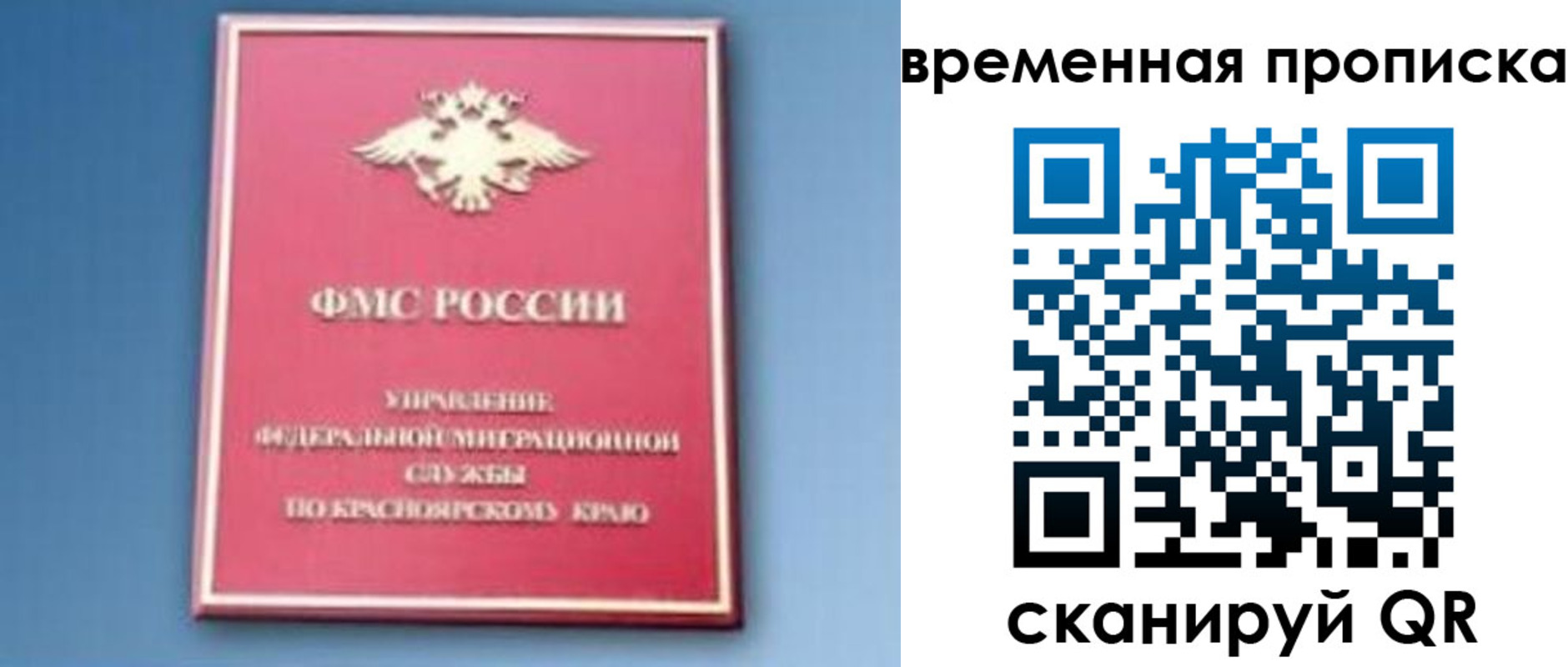 временная регистрация поиск в Борисоглебске